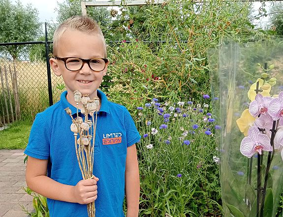 Plantjes, bloemen en zaadjes verkopen Plantjes, bloemen en zaadjes verkopen